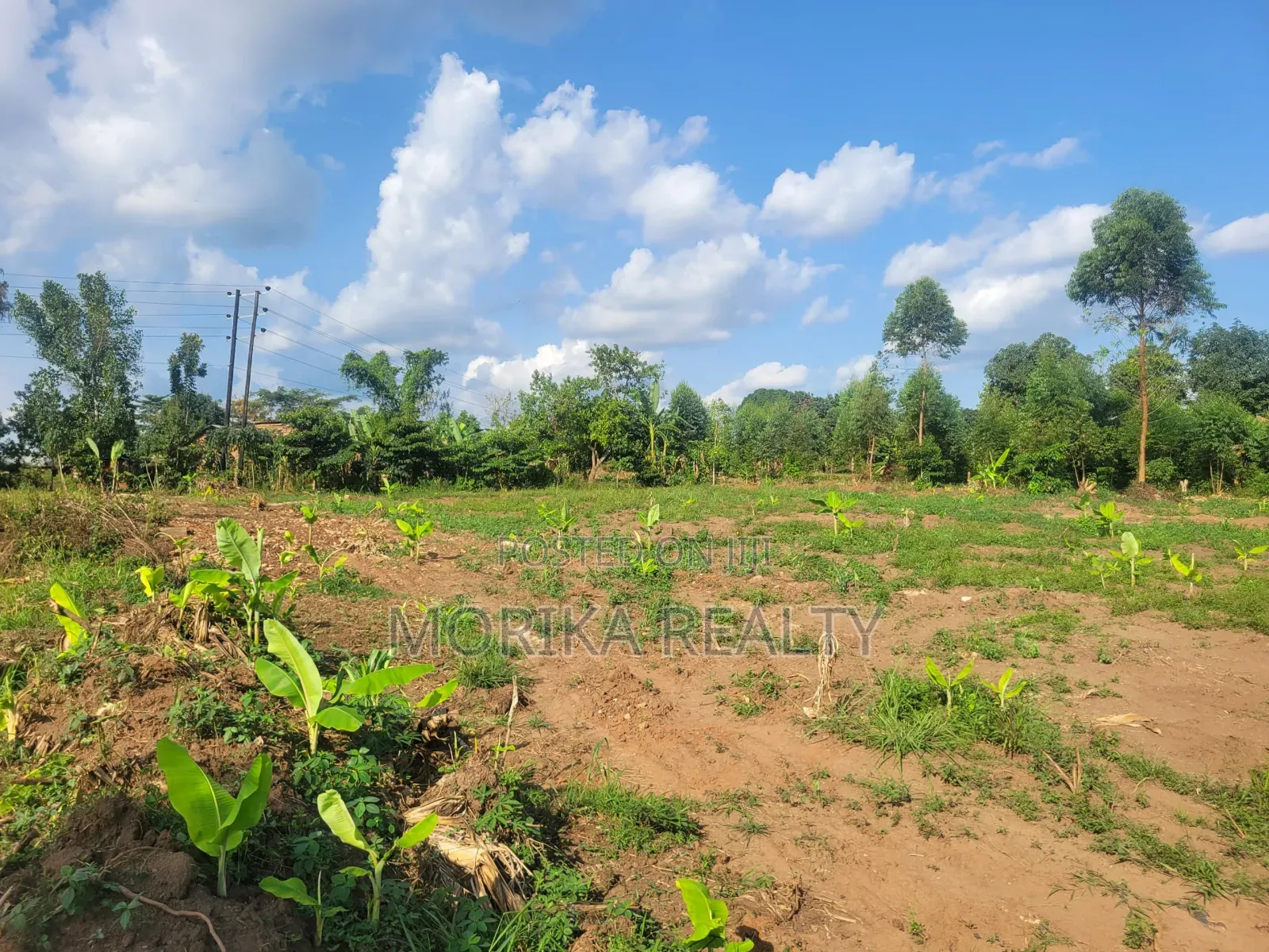 Prime Plots at Namayumba