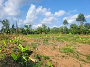 Prime Plots at Namayumba