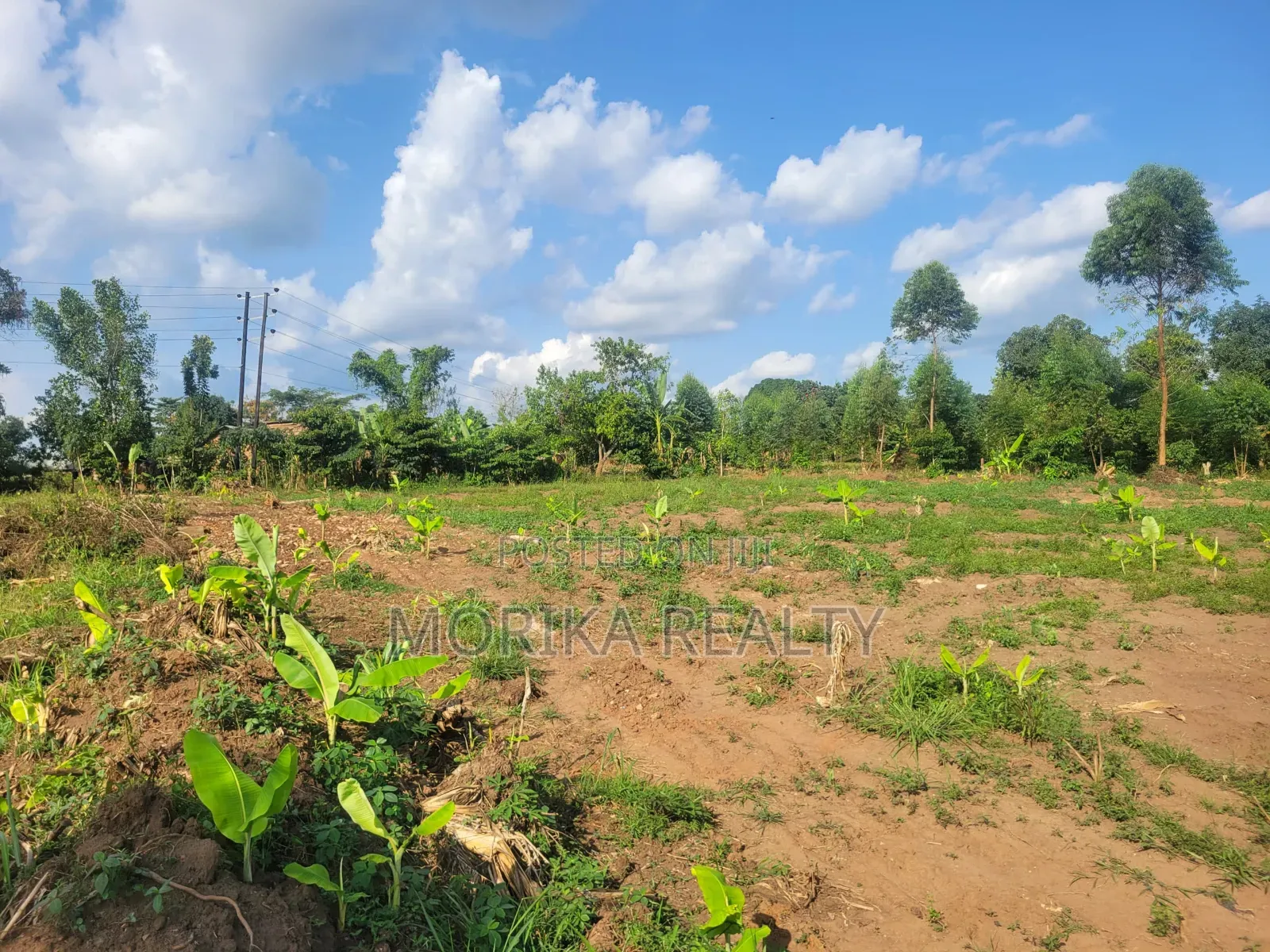 Prime Plots at Namayumba