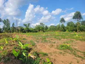 Prime Plots at Namayumba