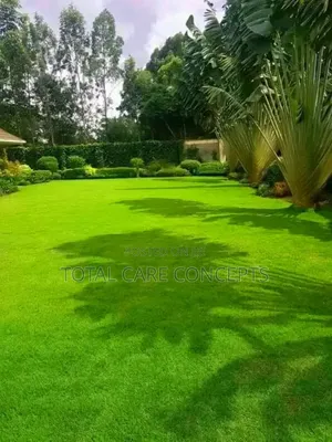 Modern Compound Designers