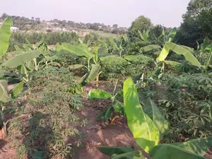 Land for Sale – Matugga Kavule