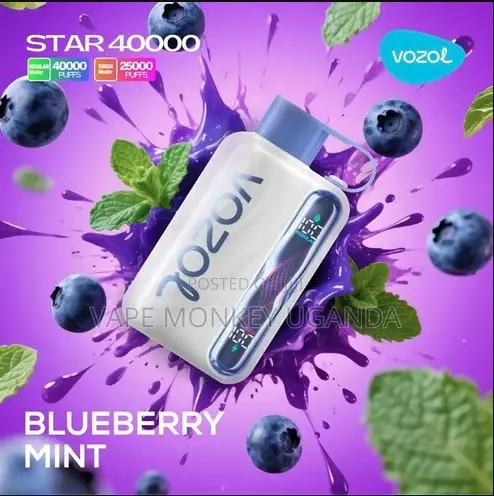 Vozol Star 40,000 Blueberry Mint Disposable.