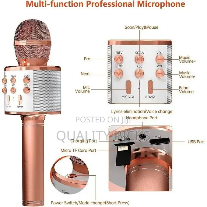 1 Pic Wireless Bluetooth Karaoke Microphone