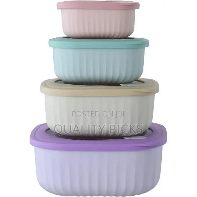 4 Pieces Food Storage Containers With Lids Plastic