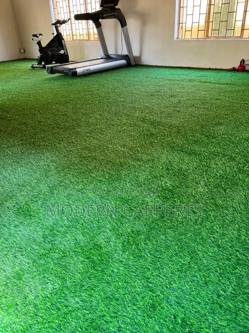 MNSSS Artificial Turf