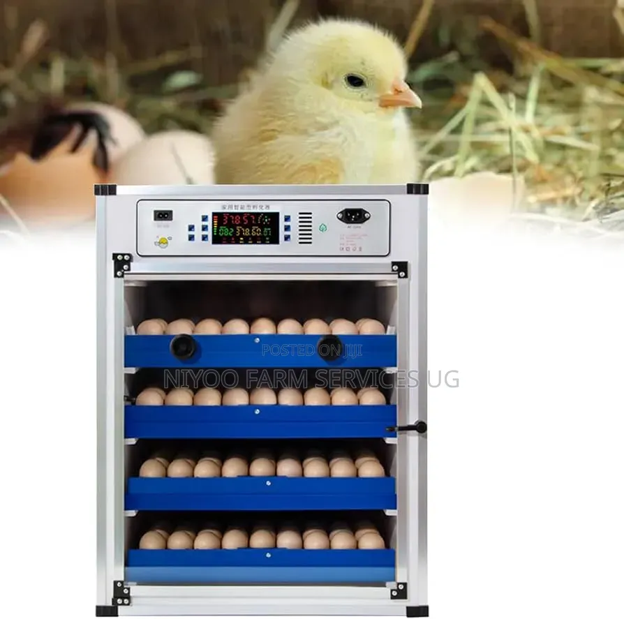 272 Eggs Incubator