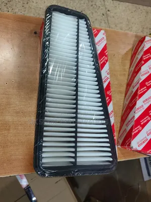 Land Cruiser Air Cleaner