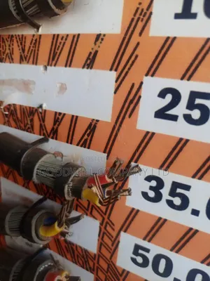 4mm Armoured Cable / Underground Cable