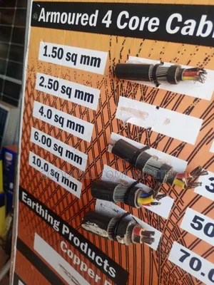 6mm Armoured Cable / Underground Cable