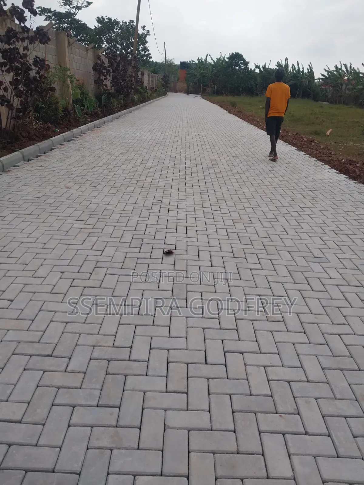 Trust Expertise in Paving Is Our Work