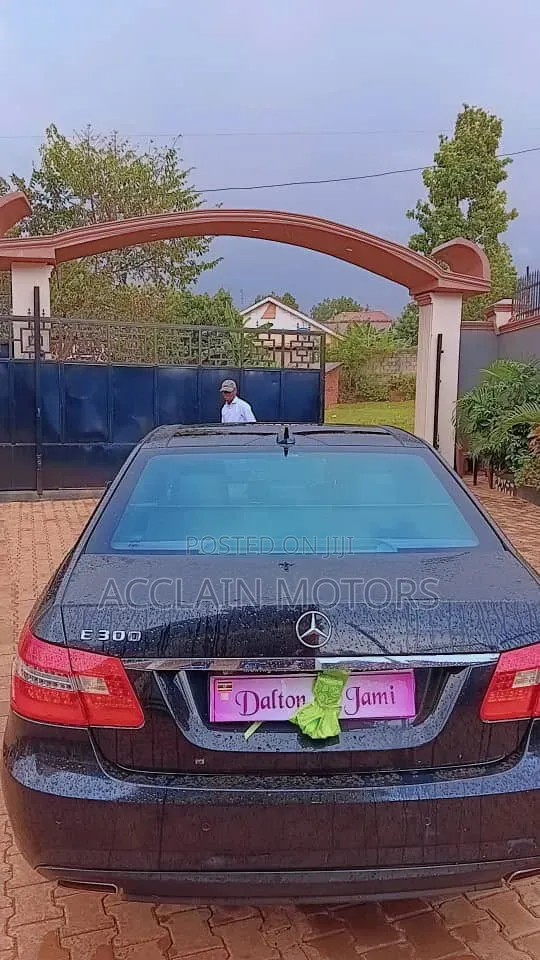 Wedding and Introduction Car