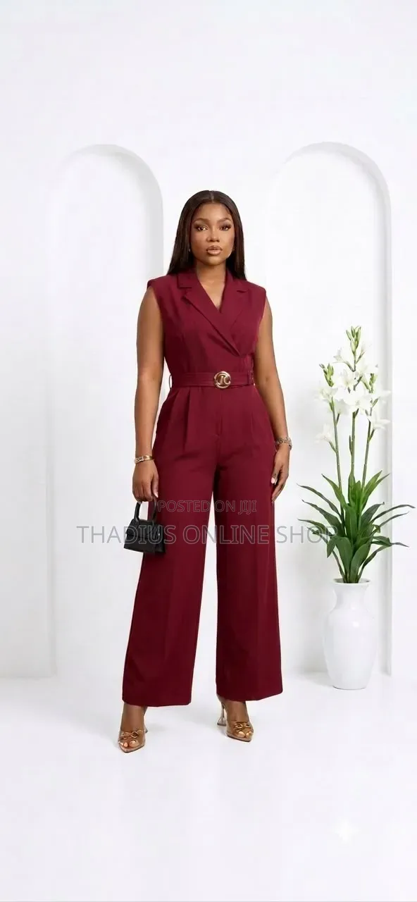 Ladys Nice Office Suits