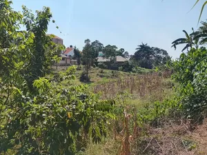 A Plot of 22 Decimals for Sale in Namugongo-Nsawo