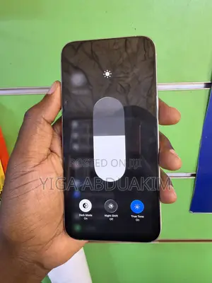 Apple iPhone 15 Pro Max 256 GB