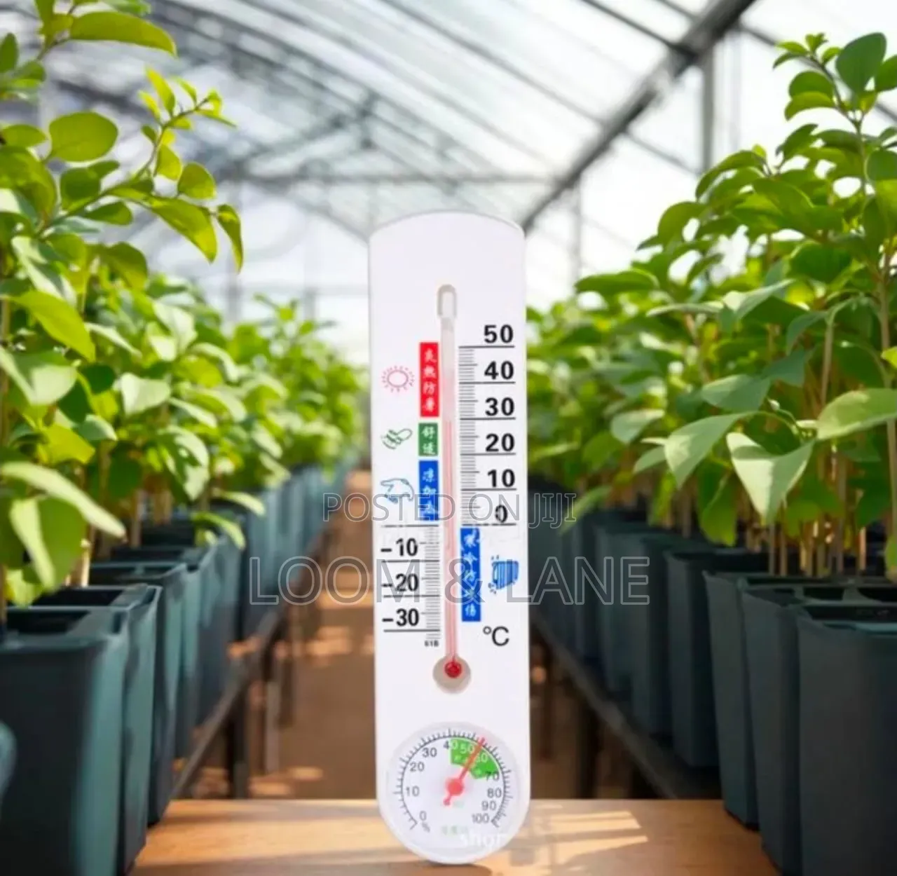 Upgraded Thermometer Hygrometer