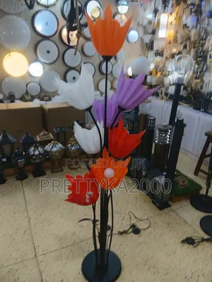 Electrical Lights