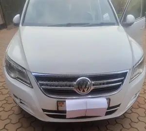 Volkswagen Tiguan 2010 White