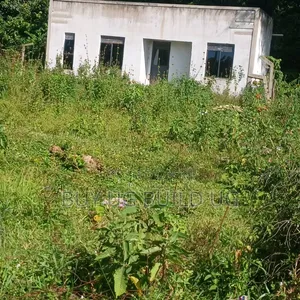 Lake View Plot With House on Quick Sale Garuga Ntebe 11decimals