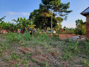 Maina Centre Mayuge Cheap Plots