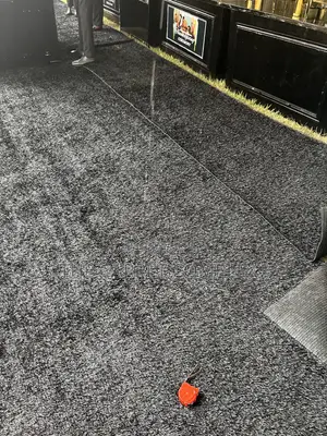 Wedding Grass Carpets Black Per Squaremeter