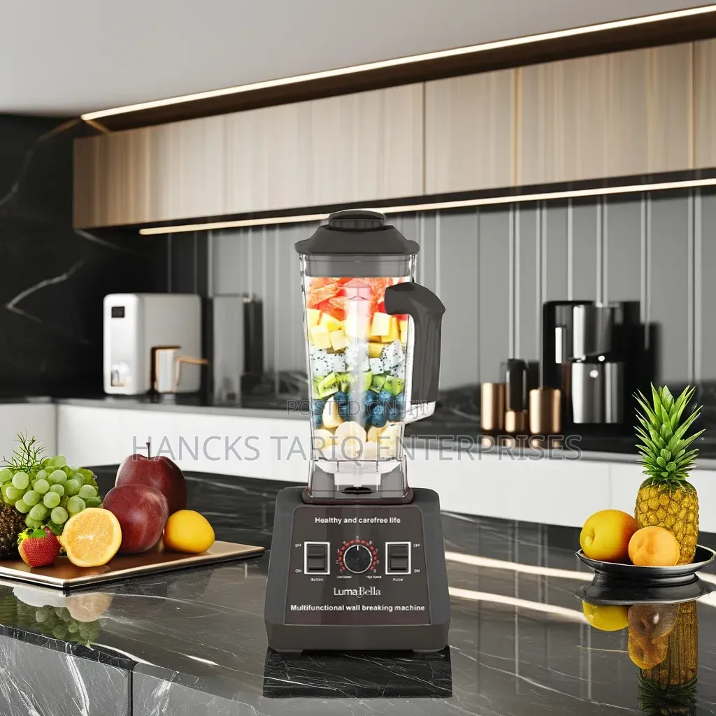 Hoffmans 2-in-1 Breaking Commercial Blender (Model HM-2082).