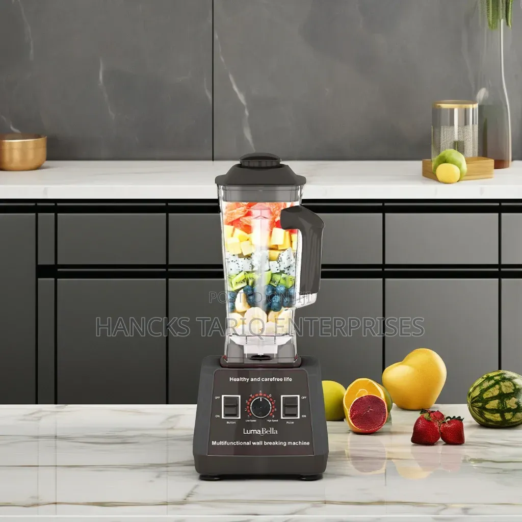 Hoffmans 2-in-1 Breaking Commercial Blender (Model HM-2082).