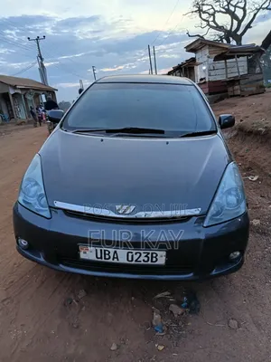 Toyota Wish 2003 Gray