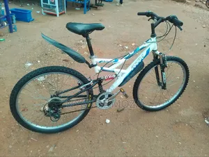 R T H Adults Bicycle