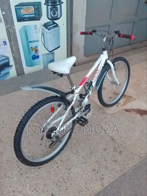 K 2 Kids and Adults Bicycle