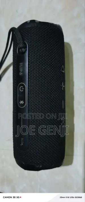 JBL Flip 6