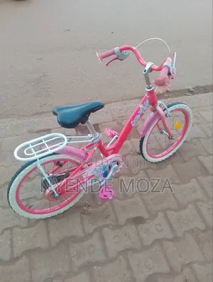 Secret Girls Bicycle