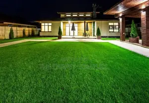 Grass Carpets Schoolyards Per Squaremeter