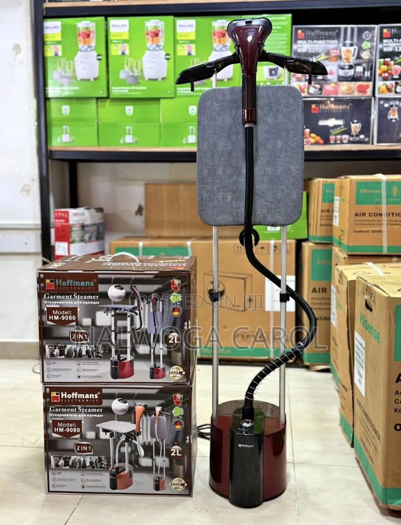 Garment Steamer With a Stand