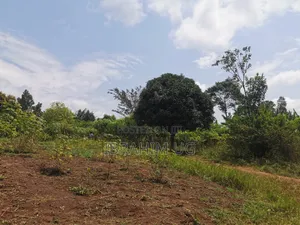 1 Acre of Land at in Ndese Mukono at 45 M