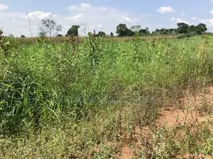 100x100 in Bulamu Mityana Road 28,000,000