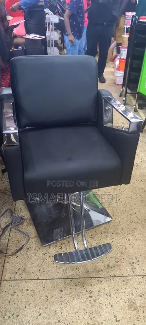 Salon Chair