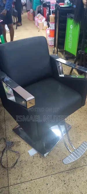 Salon Chair