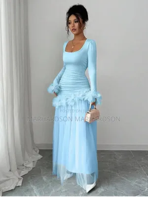 Classy Mesh Dress