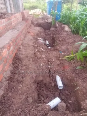 Drainage System