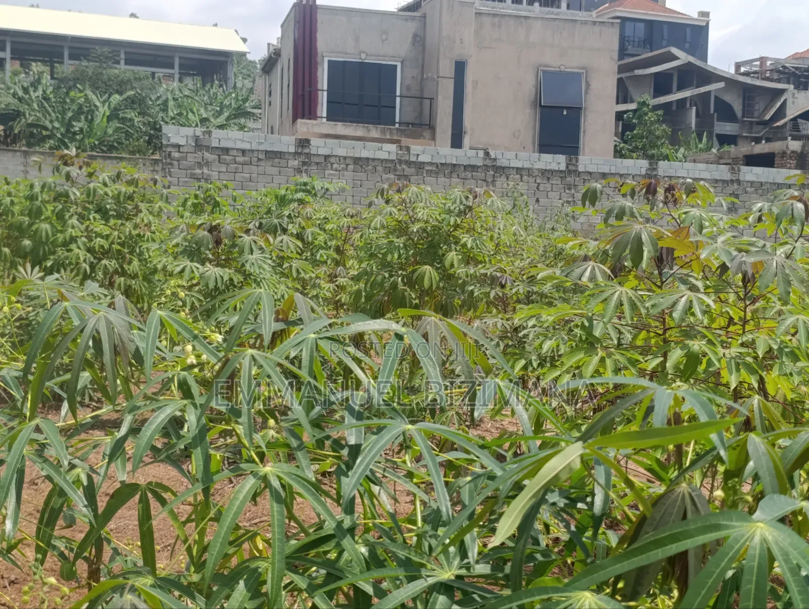 Plot on Quickest Sale