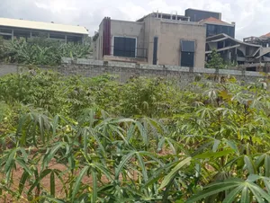 Plot on Quickest Sale