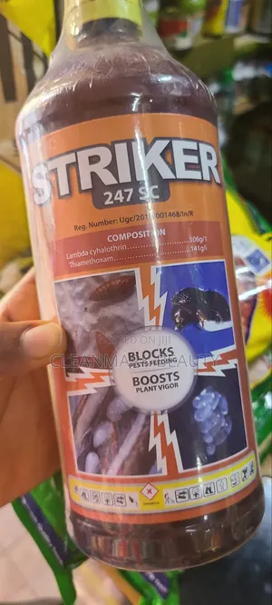 Striker Coffee Pastes Killer