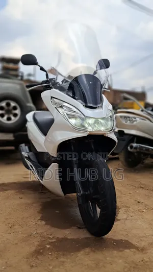 Honda 2022 White