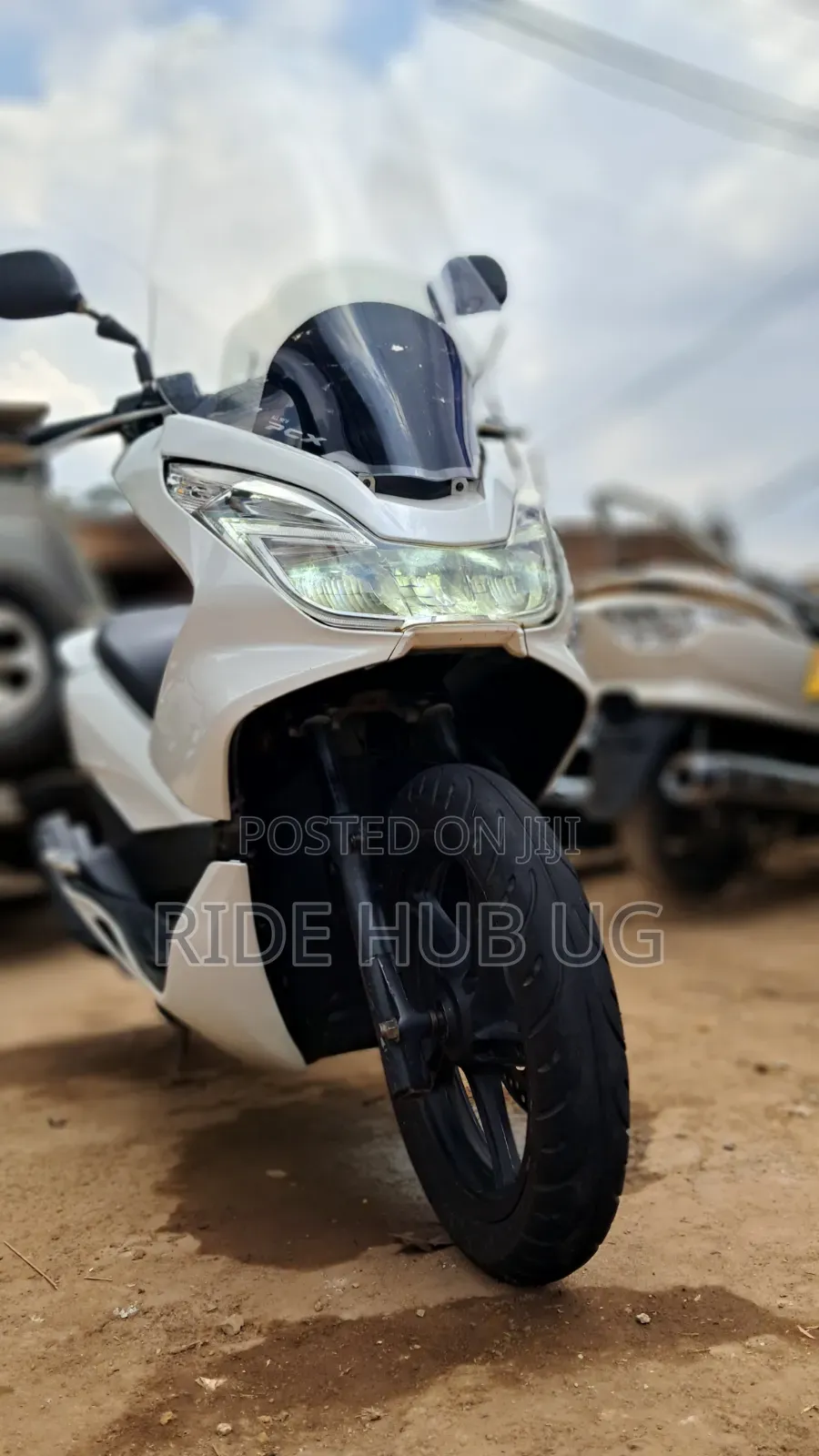 Honda 2022 White
