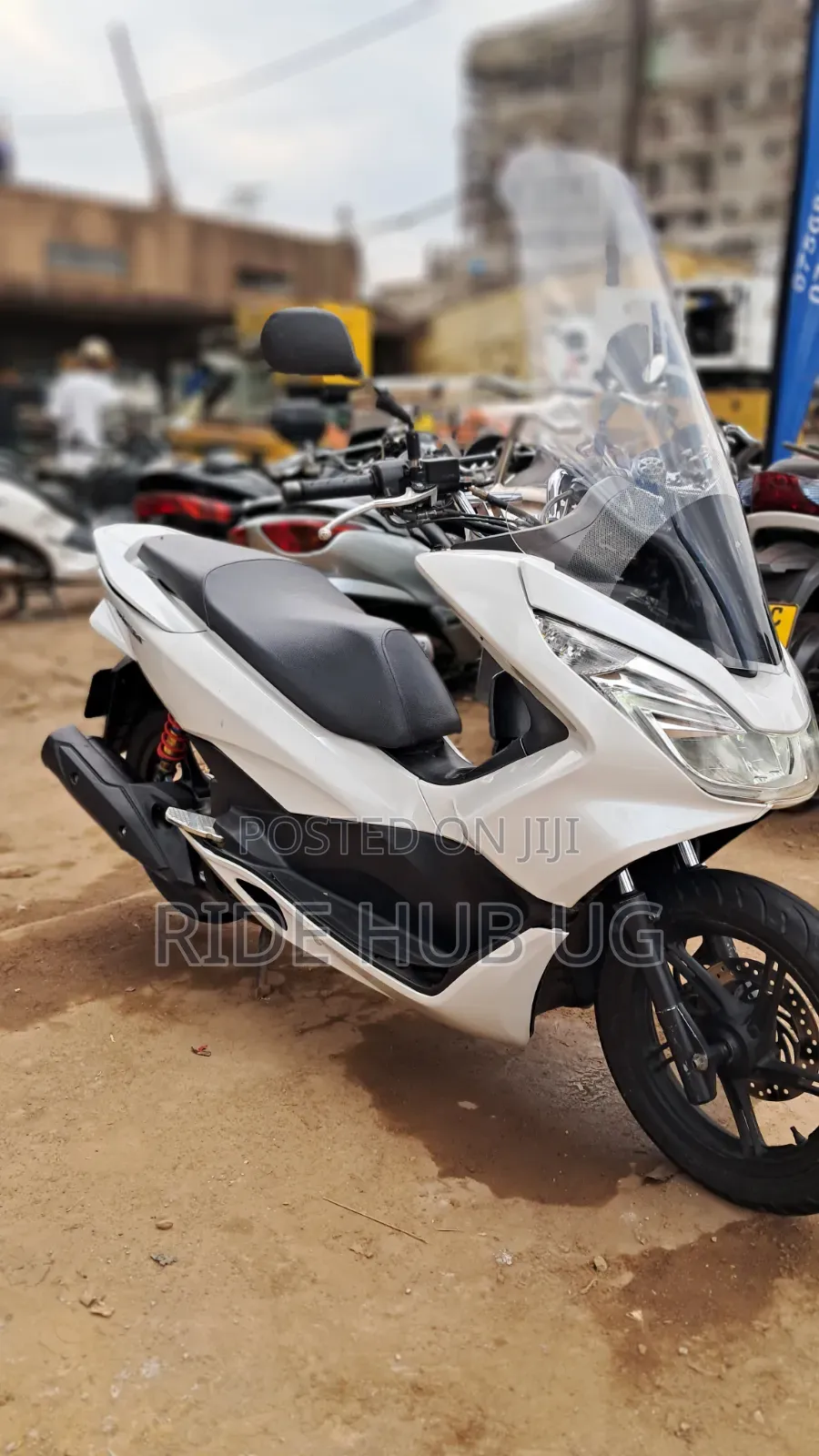 Honda 2022 White