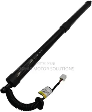 Electric Tailgate Struts