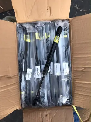 Boot / Tailgate Struts or Shock