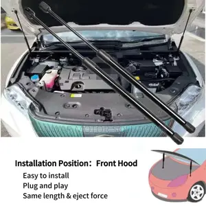 Boot / Tailgate Struts or Shock