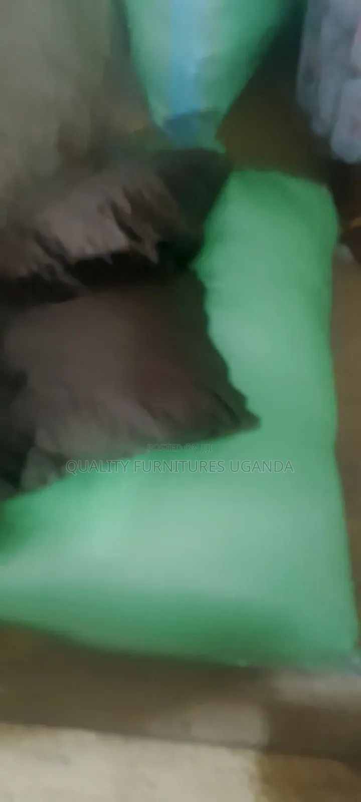 2.2.1 Green Sofa Set